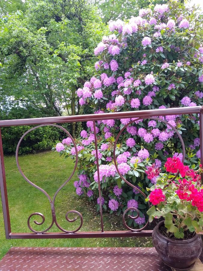 Alster City Garden Villa Hamburg Dış mekan fotoğraf